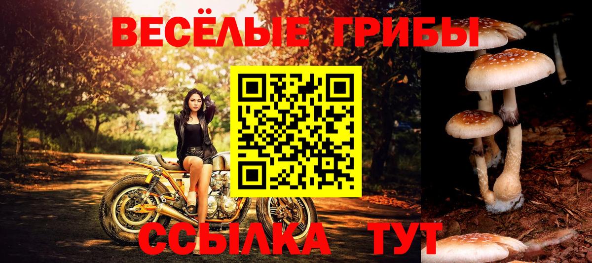 Псилоцибиновые грибы мухоморы Салехард