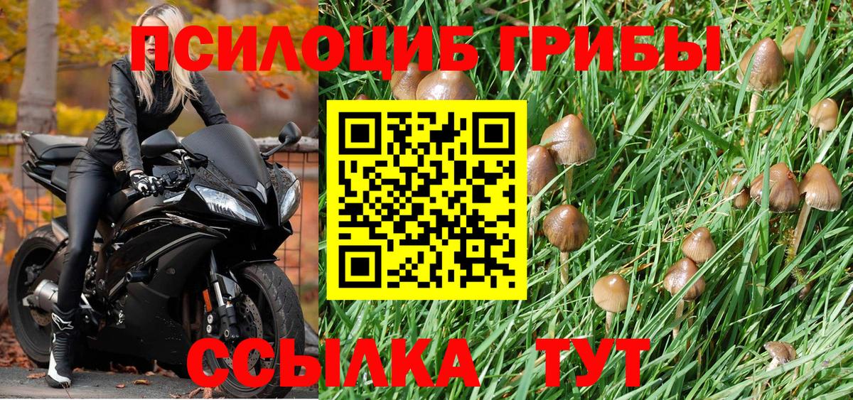 Галлюциногенные грибы GOLDEN TEACHER  Псилоцибиновые грибы мухоморы  Вход с VPN  Салехард 